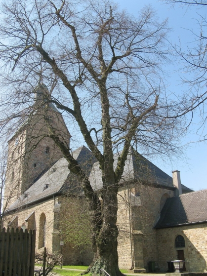 Bild 3 von Linde an der Kirche